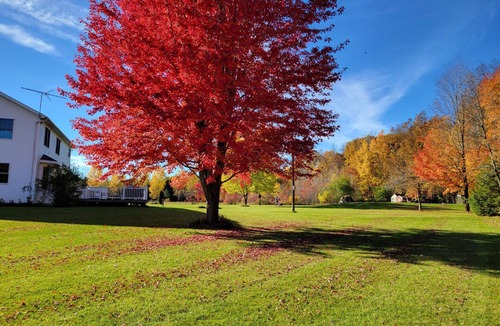 Larsen House | Quiet Country Home on 10 acers of land, located only 23 miles from EAA grounds.