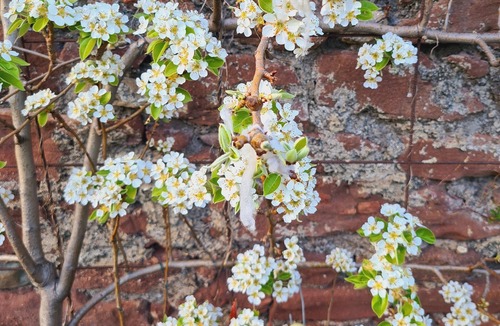 Le Bousquet-d'Orb Villa | Quiet, detached 22m2 studio on garden level!