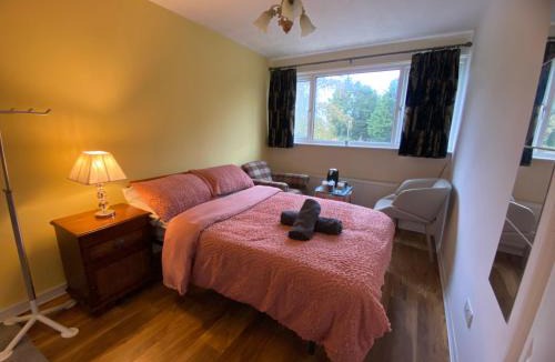 Reading Apartment | Quiet Double Room - Berkshire