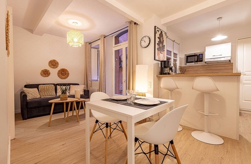 Saint-Etienne Apartment | Quiet downtown location - Apartment with a terrace