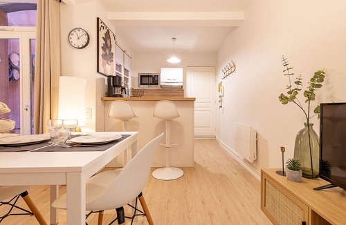 Saint-Etienne Apartment | Quiet downtown location - Apartment with a terrace