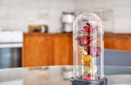 Merrylands House | Quiet Elevated Serene Home (Top)