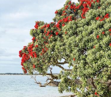 Merita House | Quiet Escape