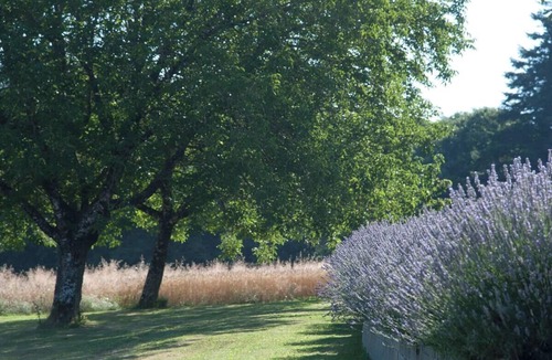 Sarrazac House | Quiet family home with secure swimming pool