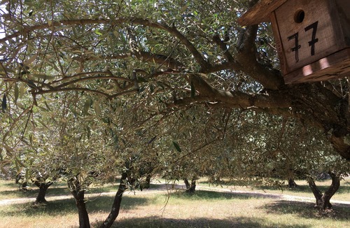 Montaren-et-Saint-Mediers House | Quiet Mazet at Ferme des clos d'Uzes