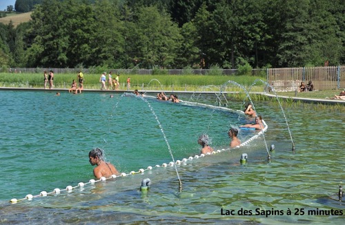 Cours la Ville Apartment | Quiet, fully-equipped T3 - The Hummingbird