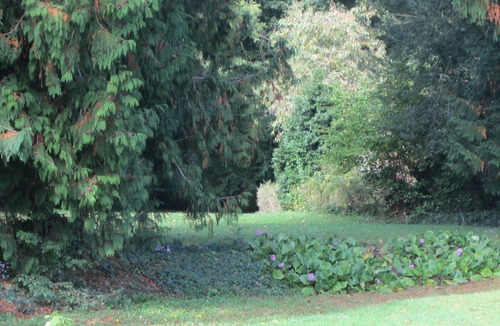 Villons-les-Buissons Cottage | Quiet house between Caen and the sea in the private grounds of a manor house.