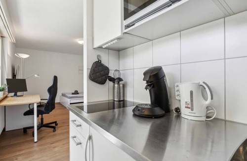 Schaffhausen Apartment | Quiet Location Workplace Coffee Parking Washer