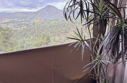 High Rolls Mountain Park RV Rental | Quiet Luxury for 2, Safari Tent Getaway- Lunaria at El Campo Glamping