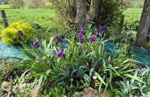 Clamerey Cabin | Quiet, out of sight, multiple visits very close.