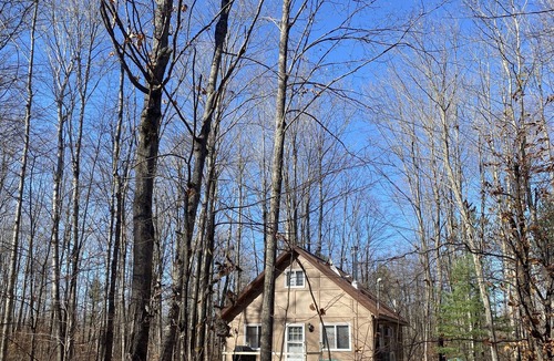 Elmira Cabin | Quiet Romantic Cabin - Pet Friendly