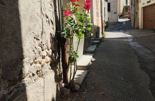 Estoublon House | Quiet room for returners and others!