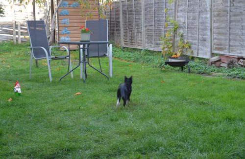 Crofton Park Bed & Breakfast | Quiet room