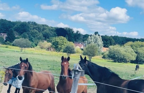 Forges-les-Bains Apartment | Quiet studio, ideal for relaxing, 35 km from Paris