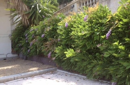 Menton Apartment | Quiet studio, surrounded by greenery, 12 minutes from the sea.