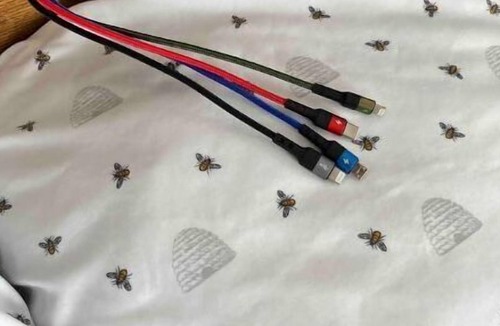 Cal Young Apartment | Quiet Upstairs Apartment