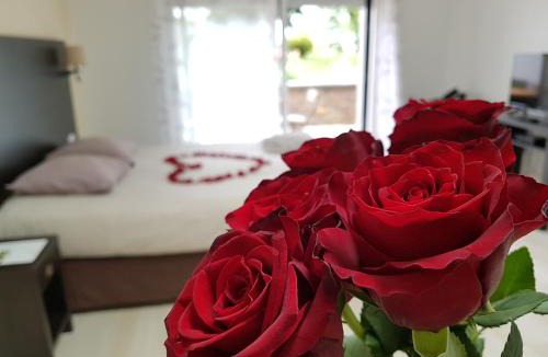 Pont Rousseau Apartment | Résid'Spa Loire & Sèvre