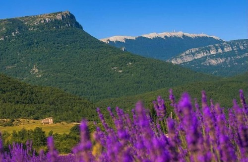 Saint-Etienne-les-Orgues House | Résidence Les Mas de Haute-Provence