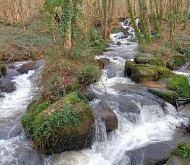 Vire Villa | Résidence du Bois Chasson