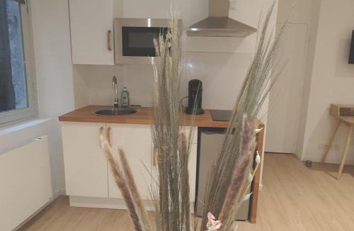 Nevers Apartment | Résidence du Palais