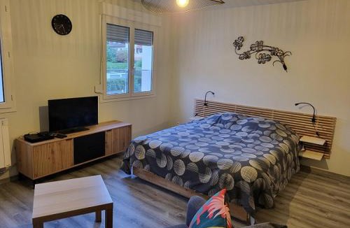 Niederbronn-les-Bains Apartment | Résidence le centre