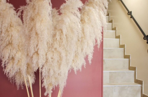 Maubeuge Apartment | Résidence Le Vélodrome