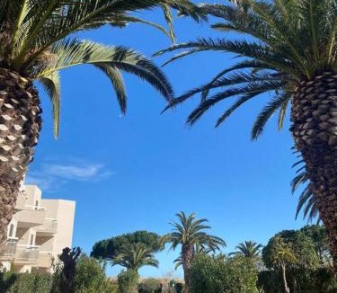 Saint-Cyprien Plage Apartment | Résidence Les Capitelles - Studio vue sur Mer