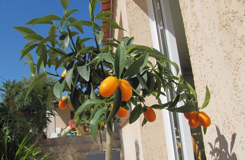 L'Ile-Rousse House | Résidence Saint Michel