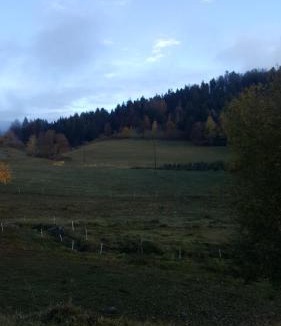 Le Tholy Apartment | résidence vallée des lacs
