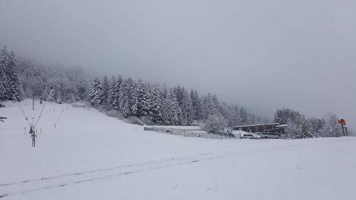 Le Tholy Apartment | résidence vallée des lacs