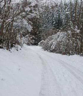 Le Tholy Apartment | résidence vallée des lacs