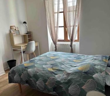 Chateauroux Apartment | Rêve Citadin Votre Cocon au Centre Ville
