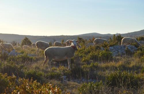 Saint-Michel Bed & Breakfast | Rêve de Causse