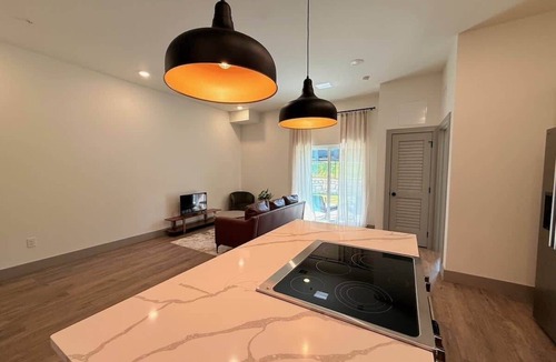 Parker Lane Condo | [R13] 2BD/2.5BA Condo. Brand New, Furnished & Work-Ready!