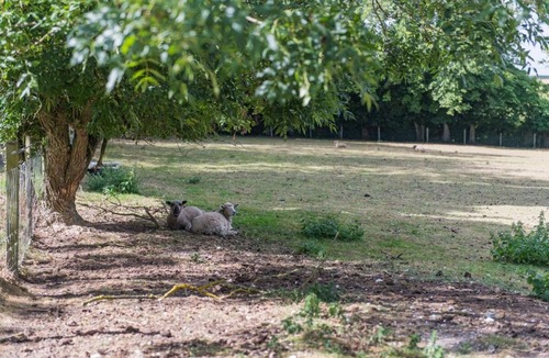 Martin House | Rabbit Hole by Keepers Cottages