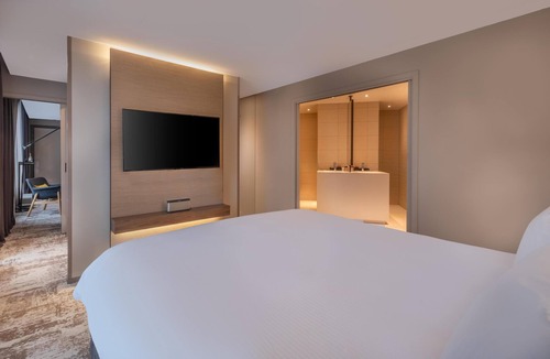 Tremblay-les-Gonesse Hotel | Radisson Blu CDG Airport Terminal Hotel, Paris