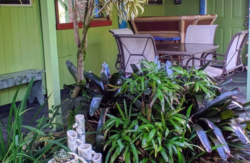 Keaau Apartment | Rain Forest Apartment!