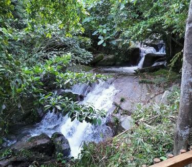 Ringlet Cabin | Rain Forest Inn
