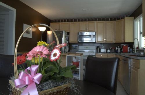 Princeton House | Rainbow House and small garden