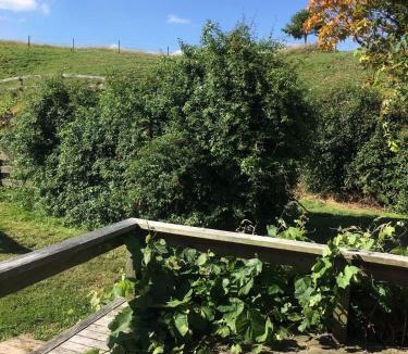 Kaingaroa House | Rainbow Mountain cottage