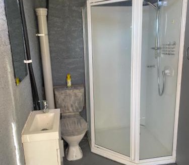 Whakatiwai Other | Rainbow Rose