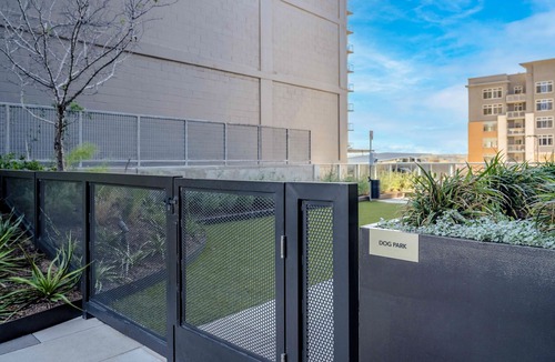 Rainey Street Historic District Apartment | Rainey street 31st floor lake view balcony, king bed, rooftop pool, gym, coffee