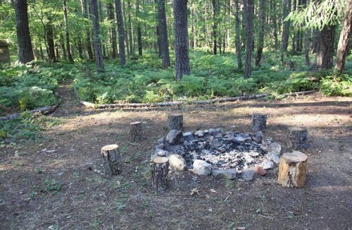 Packwood Cabin | Rainier Retreat | Wifi | 3 Bed, 2 Bath