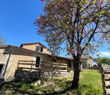 Lectoure House | Raiv