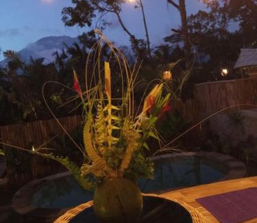 Selat Villa | Raka Rai Bamboo Villa - Private Pool with Mount Agung View