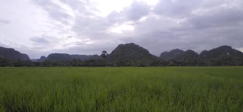 Bantimurung House | Rammang Rammang local house