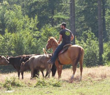 La Salvetat-sur-Agout House | Ranch du Haut-Languedoc