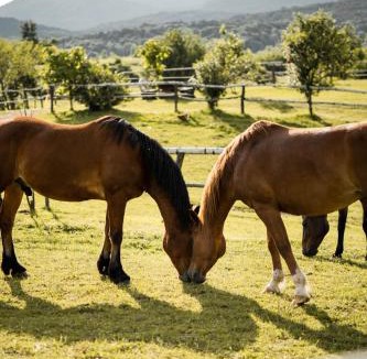 Irinovac House | Ranch Terra