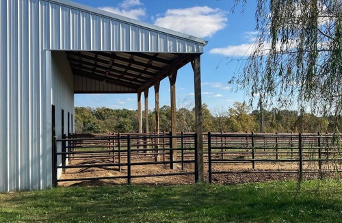Siloam Springs House | Ranch time w Bronco & Betsey!