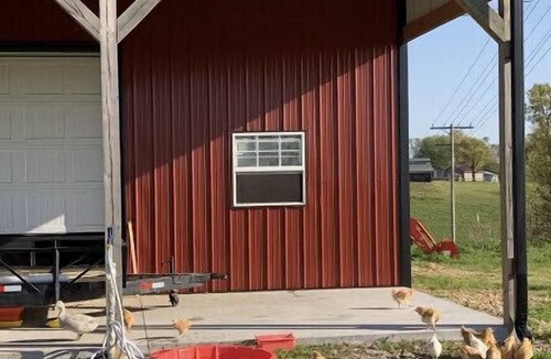 Siloam Springs House | Ranch time w Bronco & Betsey!